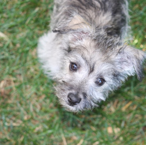 Meet your Posher, Kate - Picture 1 of 1